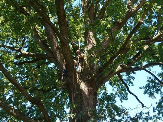 44713543_2077442235640297_5849913995963662336_n