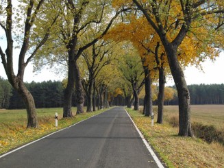 iStock_000014706108Small-768x576